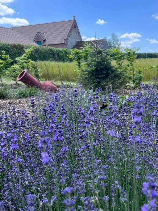 ניופורט Chienmarin Healthfarm & Residences Anno 1712 ***** מראה חיצוני תמונה